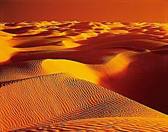 国际奥委会全票通过沙特电竞奥运会项目 预计2025年开办